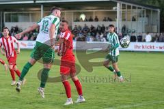 Landesliga - Saison 2025/26 - SV Manching - TSV Dachau  - Marcel Posselt (Nr.12 - SV Manching) - Sebastian Mitterhuber rot Dachau - Foto: Meyer Jürgen