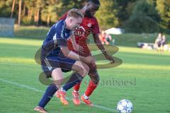 Kreisliga - Saison 2025/26- SV Zuchering - TV Münchsmünster - Glenn Heicappell rot Zuchering - Sebastian Hauber blau MÜ-Münster  - Foto: Meyer Jürgen