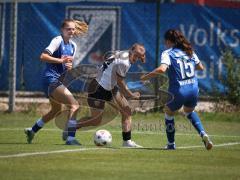 Testspiel - 2. Bundesliga Frauen - Saison 2026/27  - FC Ingolstadt 04 Frauen -  - Stefanie Reischmann (Nr.24 - FCI Frauen) - Pia Munzert rechts blau Hoffenheim  - Foto: Meyer Jürgen