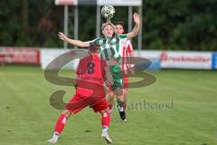 Landesliga - Saison 2025/26 - SV Manching - TSV Dachau  - Rainer Meisinger (Nr.8 - SV Manching) - Sebastian Mitterhuber rot Dachau - Foto: Meyer Jürgen