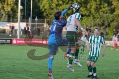 Landesliga - Saison 2025/26 - SV Manching - TSV Dachau  - Fabian  Neumayer (Nr.9 - SV Manching) - Marco Kakob Torwart DAchau - Foto: Meyer Jürgen