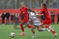 2. Bundesliga Frauen - Saison 2024/25 - FC Ingolstadt 04 Frauen - FC Bayern München - Pija Reininger (Nr.21 - FCI Frauen) - Hoffmann Melina rot München - Foto: Meyer Jürgen