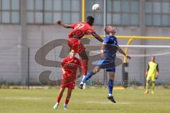 Bayernliga Nord - Saison 2023/2024 - FC Ingolstadt 04 - Würzburger FV 04 - Nduka Donald rot FCI - Hock Fabio blau Würzburg - Foto: Meyer Jürgen