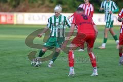 Landesliga - Saison 2025/26 - SV Manching - TSV Dachau  - Nico Daffner (Nr.14 - SV Manching) mit Kopfverband - Sebastian Mitterhuber rot Dachau - Foto: Meyer Jürgen