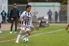 3. Liga; TSV Havelse - FC Ingolstadt 04; Nishan Velupilay (28 FCI) hinten Cheftrainer Achim Beierlorzer (FCI)