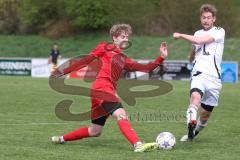 Kreisliga - Saison 2025/26- SV Zuchering - FC Mindelstetten - Leopold Fröhlich rot Zuchering - Lukas Gaul weiß Mindelstetten  - Foto: Meyer Jürgen