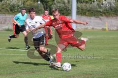 Bayernliga Nord - Saison 2023/2024 - FC Ingolstadt 04 - FC Coburg - Fabio Riedl rot FCI - Foto: Meyer Jürgen