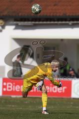 Landesliga - Saison 2025/26 - SV Manching - TSV Schwabmünchen - Torwart Thomas Obermeier (Nr.1 - SV Manching) - XXXXX - Foto: Meyer Jürgen