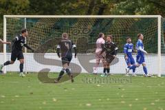 Bezirksliga - Saison 2025/26 - TSV Ober./Unterhaunstadt -  TSV Gaimersheim - Der 0:1 Führungstreffer durch Domenic Raimann (Nr.26 - TSV Gaimersheim) - Ali Cakmakci Torwart Ober/Unterh.stadt - jubel - Luca Mancini (Nr.21 - TSV Gaimersheim) - Foto: Meyer Jü