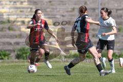 2. Bundesliga Frauen - Saison 2025/26 - FC Ingolstadt 04 Frauen - Borussia Mönchengladbach - Annika Kömm (Nr.25 - FC Ingolstadt Frauen I) - XXXXX - Foto: Meyer Jürgen