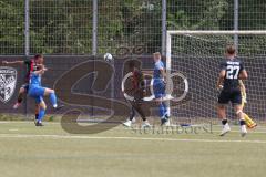 Bayernliga Nord - Saison 2024/25 - FC Ingolstadt 04 II - FC Münchberg - Micah Ham (Nr.25 - FCI U21) - Kaschel Christoph blau Münchberg - Jason Osei Tutu (Nr.11 - FCI U21) - Hackenberg Niklas blau Münchberg - Foto: Meyer Jürgen