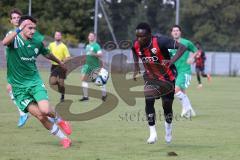 Bayernliga Nord - Saison 2024/25 - FC Ingolstadt 04 II - SV Fortuna Regensburg - Jason Osei Tutu (Nr.11 - FCI U21) - Nocerino Andrea grün Regensburg - Foto: Meyer Jürgen