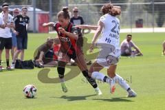 2. Bundesliga Frauen - Saison 2024/25 - FC Ingolstadt 04 Frauen - SCR Altach - Magdalena Schwarz (Nr.23 - FCI Frauen) - Albrecht Selina weiss Altach - Foto: Meyer Jürgen