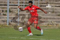 Bayernliga Nord - Saison 2023/2024 - FC Ingolstadt 04 - FC Coburg - David Udogu rot FCI - Foto: Meyer Jürgen