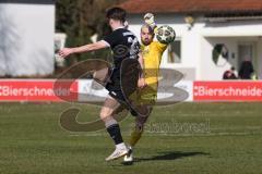 Landesliga - Saison 2025/26 - SV Manching - TSV Schwabmünchen - Torwart Thomas Obermeier (Nr.1 - SV Manching) - Gumpinger Richard schwarz Schwabmünchen - Foto: Meyer Jürgen