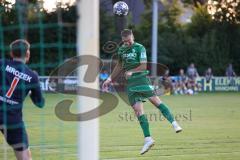 Landesliga - Saison 2024/25 - SV Manching - SV Cosmos Aystetten - Fabian Neumayer (Nr.9 - SV Manching) - Daniel Mrozek Torwart Aystetten - Foto: Meyer Jürgen