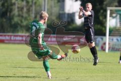 Landesliga - Saison 2024/25 - SV Manching - TSV Schwabmünchen - Rainer Meisinger (Nr.8 - SV Manching) - XXXXX - Foto: Meyer Jürgen