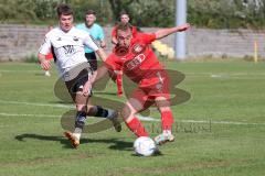 Bayernliga Nord - Saison 2023/2024 - FC Ingolstadt 04 - FC Coburg - Fabio Riedl rot FCI - Foto: Meyer Jürgen