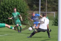 Kreisklasse - Saison 2024/25- SV Lippertshofen - SV Stammham  - Josef Buchner grün Lippertshofen - Jonas Korn blau Stammham - Micha Balzer Torwart Lippertshofen - Foto: Meyer Jürgen