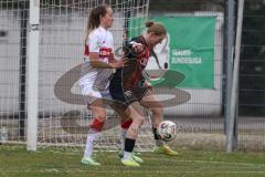 2. Bundesliga Frauen - Saison 2025/26 - FC Ingolstadt 04 Frauen - VFB Stuttgart  - Nina Penzkofer (Nr.29 - FC Ingolstadt Frauen I) - Dongus Tamar Lea weiss Stuttgart  - Foto: Meyer Jürgen