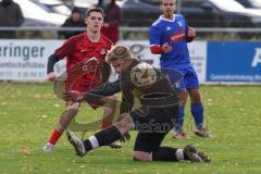 Kreisliga - Saison 2025/26- TSV Kösching - SV Zuchering - Jonas Betz blau Kösching - Leander Friedl rot Zuchering mit dem 0:1 Führungstreffer - jubel - Michael Zimmermann Torwart Kösching - Foto: Meyer Jürgen