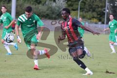 Bayernliga Nord - Saison 2024/25 - FC Ingolstadt 04 II - SV Fortuna Regensburg - Jason Osei Tutu (Nr.11 - FCI U21) - Nocerino Andrea grün Regensburg - Foto: Meyer Jürgen