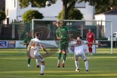 Landesliga - Saison 2024/25 - SV Manching - SV Cosmos Aystetten - Rainer Meisinger (Nr.8 - SV Manching) - Dejan Mijailovic #10 Aystetten - Balazs Gazdag #14 Aystetten - Foto: Meyer Jürgen