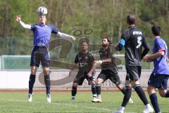 Kreisklasse - Saison 2025/26- TSV Ingolstadt Nord - MTV Ingolstadt - XXXXX - XXXXX - Foto: Meyer - Drazen Lovric lila MTV