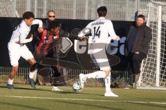 Bayernliga Nord - Saison 2024/25 - FC Ingolstadt 04 II - SC Eltersdorf - Said Souleymane (Nr.17 - FCI U21) - Alexander Beusch weiss Eltersdorf - Foto: Meyer Jürgen