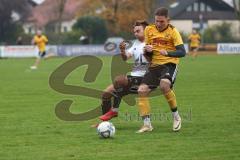 Kreisliga - Saison 2024/25- TSV Lichtenau - FC Mindelstetten - Boris Manko gelb Lichtenau - Christoph Riegler weiss Mindelstetten - Foto: Meyer Jürgen