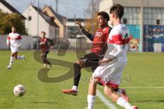 A-Junioren Bundesliga -  Saison 2026/27 - FC Ingolstadt 04 - VFB Stuttgart - Gentges Isaac rot FCI - XXXXX -  Foto: Meyer Jürgen