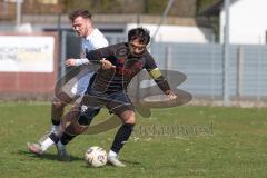 Bayernliga Nord - Saison 2025/26 - FC Ingolstadt 04 II - SpVgg Bayern Hof - Muhammed Atak (Nr.2 - FC Ingolstadt II) - Niklas Stadelmann weiss Bayern Hof  - Foto: Meyer Jürgen
