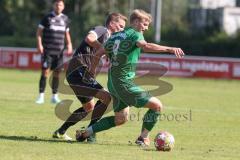 Landesliga - Saison 2024/25 - SV Manching - TSV Schwabmünchen - Rainer Meisinger (Nr.8 - SV Manching) - Uhde Maik #31 schwarz Schwabmünchen
 - Foto: Meyer Jürgen