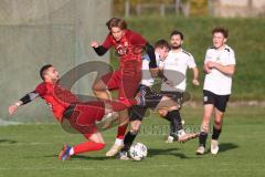 Kreisklasse - Saison 2024/25- SV Zuchering - FC Wackerstein/Dünzing - Philip Delanowski rot Zuchering - Jonas Lechner weiss Wackerstein - Ahmed Metinov rot links Zuchering - Foto: Meyer Jürgen