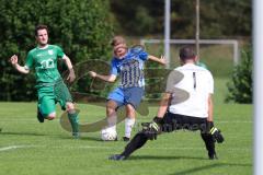 Kreisklasse - Saison 2024/25- SV Lippertshofen - SV Stammham  - Josef Buchner grün Lippertshofen - Jonas Korn blau Stammham - Micha Balzer Torwart Lippertshofen - Foto: Meyer Jürgen