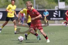 * Testspiel - Saison 2025/26 - FC Ingolstadt 04 - SpVgg Bayreuth - Kilian Michelbach (Nr.46 - FC Ingolstadt 04) - XXXXX - Foto: Meyer Jürgen