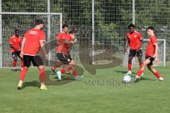 Bayernliga - Saison 2023/2024 - FC Ingolstadt 04 II - U21 - Trainingsauftakt - Foto: Meyer Jürgen