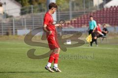 Bayernliga Nord - Saison 2023/2024 - FC Ingolstadt 04 - FC Coburg - Deer 1:0 Führungstreffer durch Leon Nuhanovic rot FCI - jubel - Foto: Meyer Jürgen