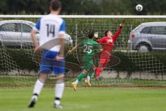 Bezirksliga - Saison 2023/2024 - TSV Gaimersheim - TSV Rohrbach  - Torwart Sebastian  Hirschbeck (Nr.1 - Gaimersheim) - Foto: Meyer Jürgen