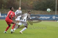 3. Liga; TSV Havelse - FC Ingolstadt 04; Obed Ugondu (17, FCI) Nduka Donald (27 TSV)
