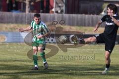 Landesliga - Saison 2025/26 - SV Manching - TSV Schwabmünchen - Johannes  Dexl (Nr.13 - SV Manching) - Boyer Philipp schwarz Schwabmünchen - Foto: Meyer Jürgen