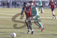 *** A-Junioren Bundesliga  - Saison 2025/26 - FC Ingolstadt 04 - SpVgg Greuther Fürth - Oladosu Omotolani schwarz FCI - Kamal Fadl grün Fürth - Foto: Meyer Jürgen