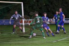 Landesliga - Saison 2024/25 - SV Manching - TV Erkheim - Fabian Neumayer (Nr.9 - SV Manching) mit einer Torchance -  - Florian Egle Torwart Erkheim - Foto: Meyer Jürgen