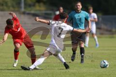 Bayernliga Nord - Saison 2024/25 - FC Ingolstadt 04 II - ASV Neumarkt - Majewski Philipp rot Neumarkt  - Davide Sekulovic (Nr.7 - FCI U21) - Foto: Meyer Jürgen