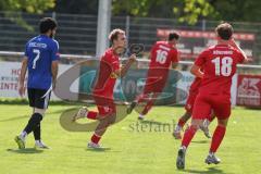 Kreisliga - Saison 2025/26- TSV Kösching - FC Mindelstetten - Der 1:0 Führungstreffer durch Sebastian Schneeberger rot Kösching - jubel - Foto: Meyer Jürgen