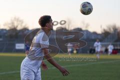 Bayernliga Nord - Saison 2025/26 - FC Ingolstadt 04 II - Würzburger FV - Micah Ham (Nr.25 - FC Ingolstadt II) - XXXXX - Foto: Meyer Jürgen