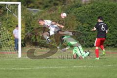 Kreisklasse - Saison 2024/25- TSV Gaimersheim II - SV Buxheim-  - Michael Brems weiss Buxheim - Sebastian Hirschbeck Torwart Gaimersheim - Foto: Meyer Jürgen