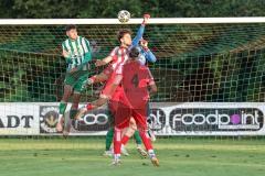 Landesliga - Saison 2025/26 - SV Manching - TSV Dachau  - Torwart Thomas Obermeier (Nr.1 - SV Manching) - Berkant Barin rot Dachau - Foto: Meyer Jürgen