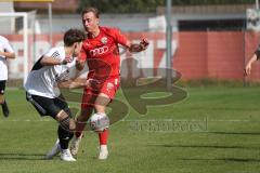 Bayernliga Nord - Saison 2023/2024 - FC Ingolstadt 04 - FC Coburg - Fabio Riedl rot FCI - Sebastian Zillig
 weiss Coburg - Foto: Meyer Jürgen