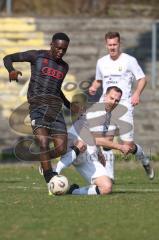 Bayernliga Nord - Saison 2025/26 - FC Ingolstadt 04 II - SpVgg Bayern Hof - Jason Osei Tutu (Nr.11 - FC Ingolstadt II) - Johannes Hamann weiss Bayern Hof  - Foto: Meyer Jürgen